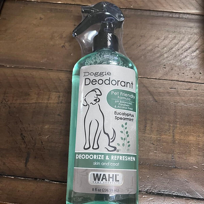 Freshen Up Your Furry Friend With Eucalyptus & Spearmint Pet Deodorant 