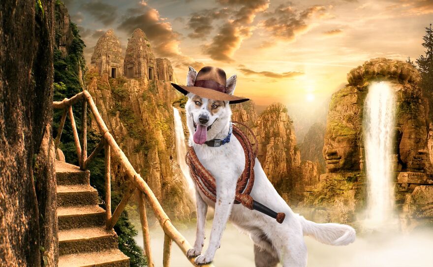I Photographed 50 Dogs And Photoshopped Them Into Their Alter Egos. Here Are 15 Of My Favorites.
