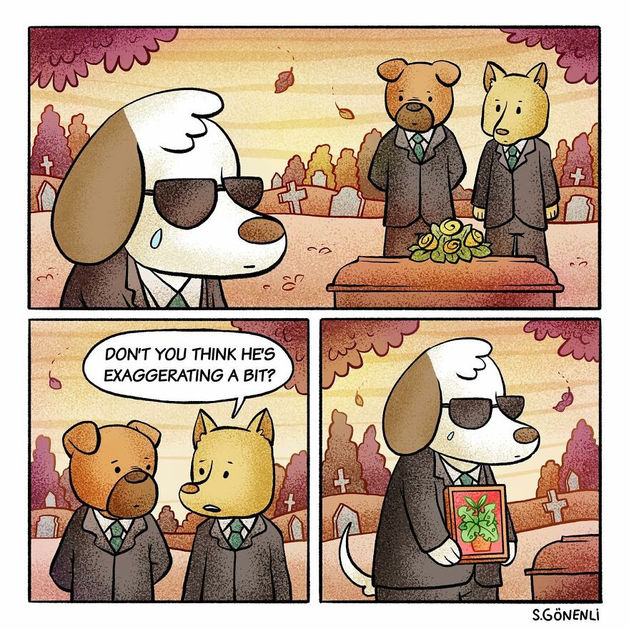 Salih Gonenli Comics