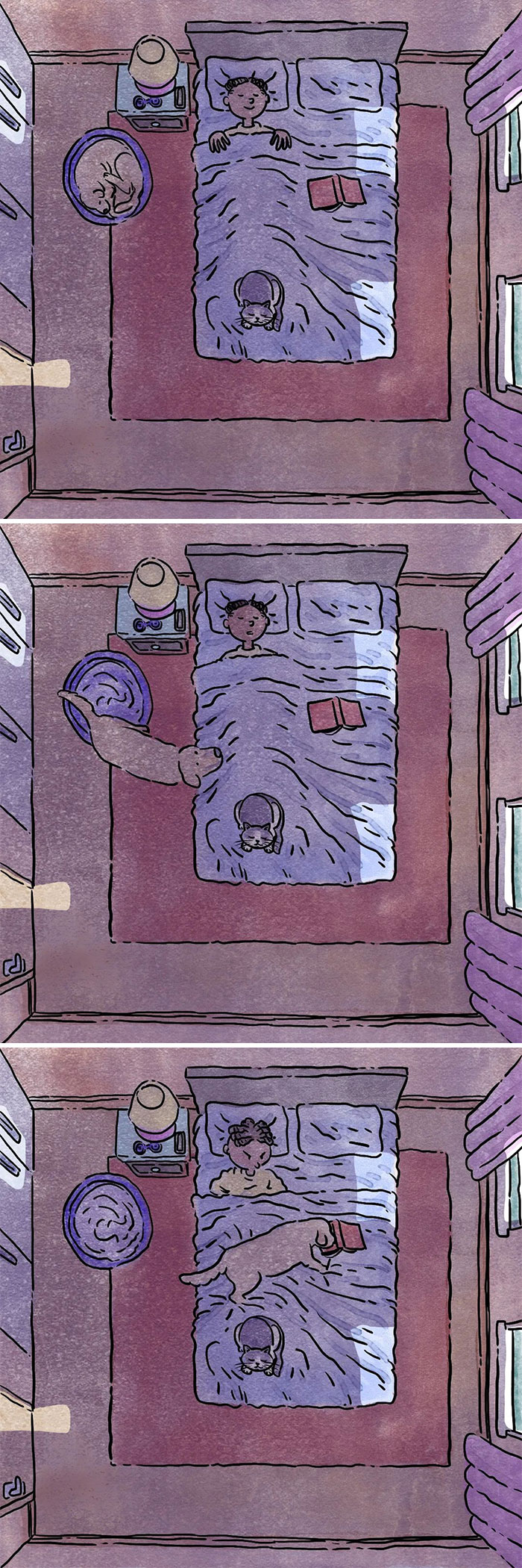 5 Emotivos cómics sobre la vida con un perro y un gato, por Ademar Vieira