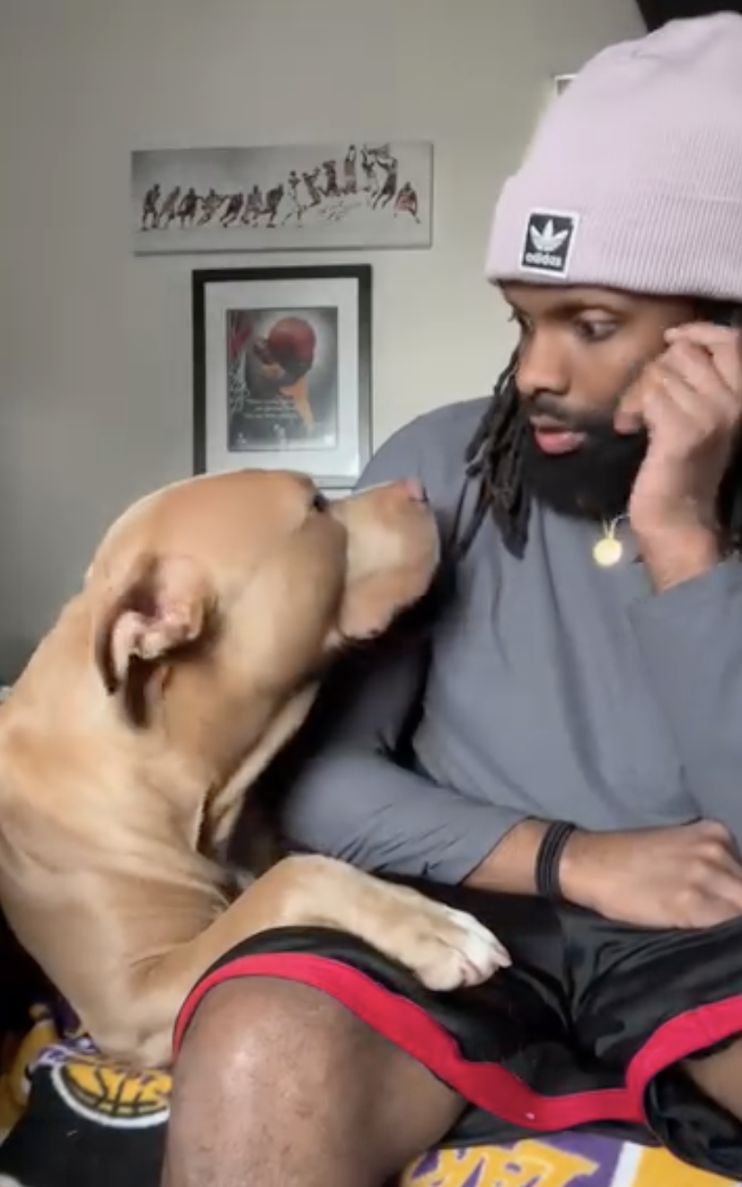 Pit Bull Overjoyed When She Finally Has Friends To Play With After Being Avoided By Other Dogs