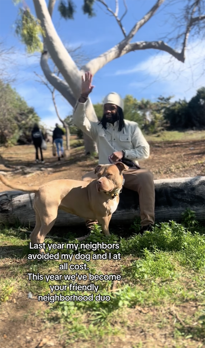 Pit Bull Overjoyed When She Finally Has Friends To Play With After Being Avoided By Other Dogs