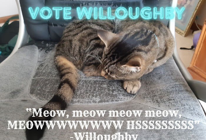 "Food, Food Food Food, Foooooooooooood Hissssssss"