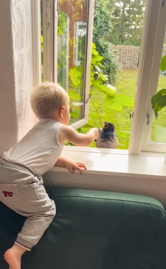 &ldquo;They Have A Special Bond&rdquo;: A 2-Year-Old Boy And His Crow
