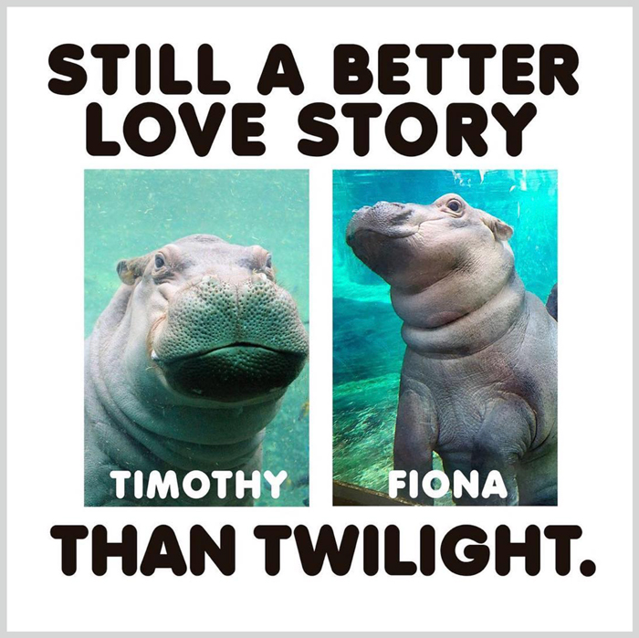 Sleepy, Cute And So Satisfying To Watch: Hippos Enjoying Underwater Spa - 9