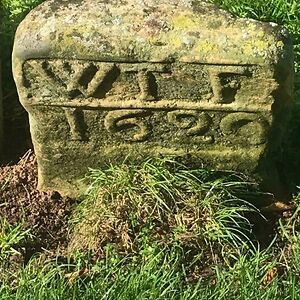 stevejenmohon avatar