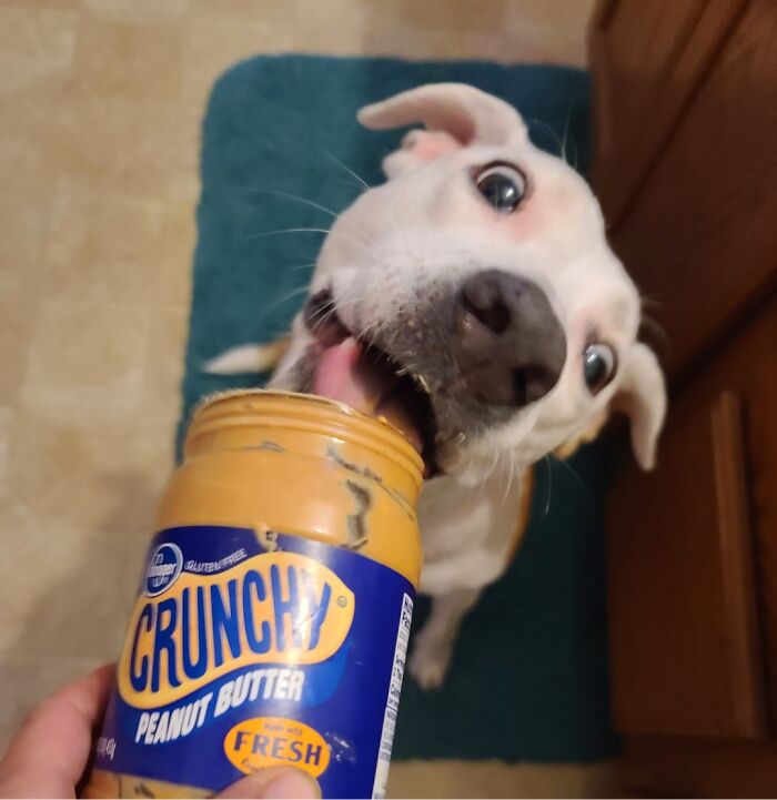 Meet Stellavedova - She's Something Else