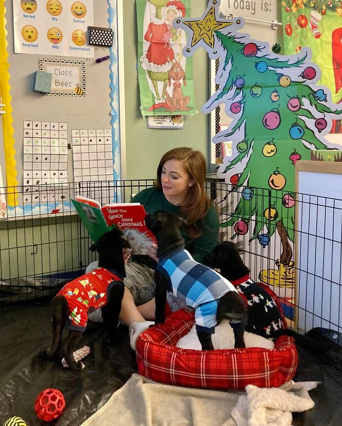 School Introduces Puppies To 1st Graders&rsquo; Reading Lesson, Soon Notices The Pupils Are Doing Better