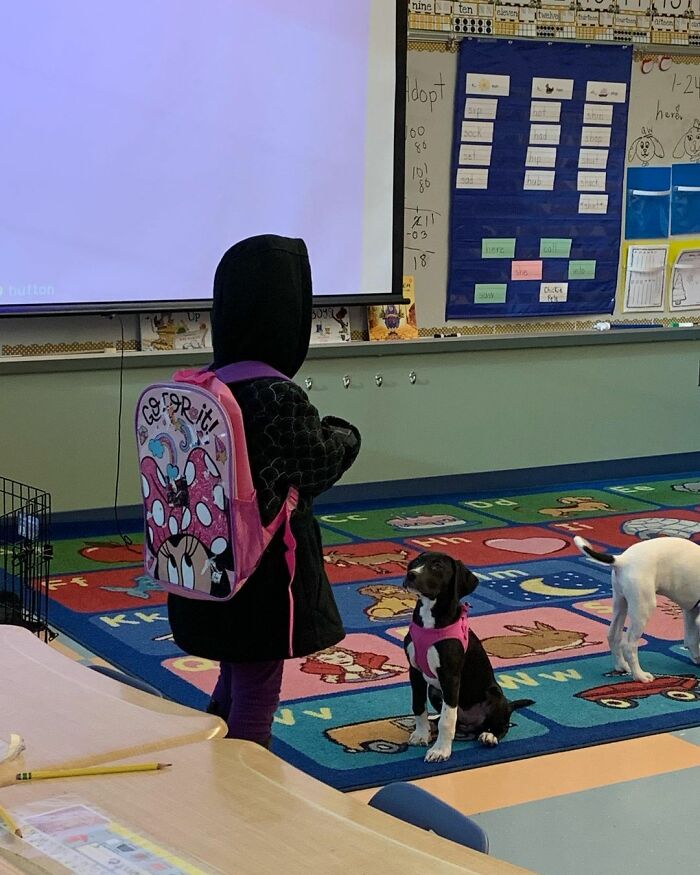 School Introduces Puppies To 1st Graders&rsquo; Reading Lesson, Soon Notices The Pupils Are Doing Better