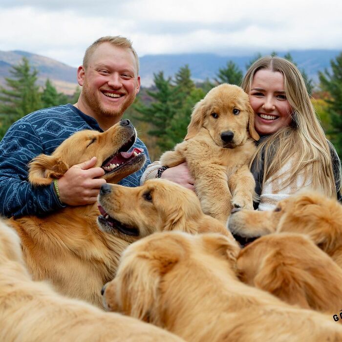 “People Cry Because They Are So Happy”: Visitors Flock To Experience The “Golden Retriever Hour” “People Cry Because They Are So Happy”: Visitors Flock To Experience The “Golden Retriever Hour”