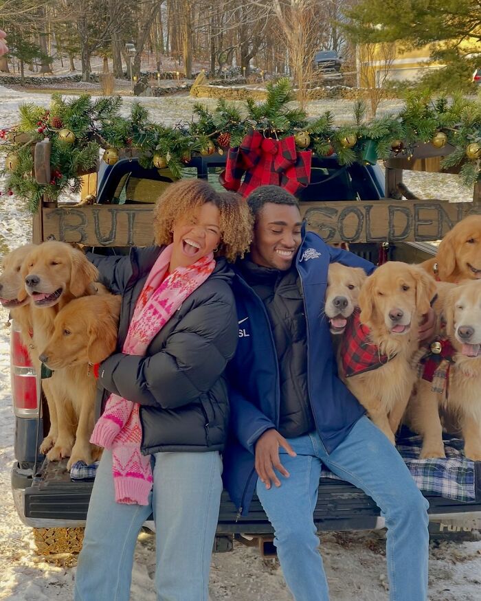“People Cry Because They Are So Happy”: Visitors Flock To Experience The “Golden Retriever Hour” “People Cry Because They Are So Happy”: Visitors Flock To Experience The “Golden Retriever Hour”