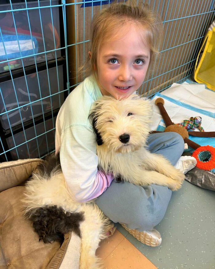 School Introduces Puppies To 1st Graders&rsquo; Reading Lesson, Soon Notices The Pupils Are Doing Better