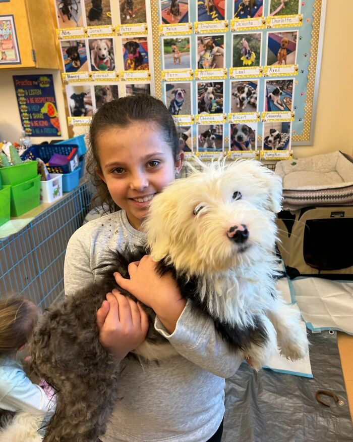 School Introduces Puppies To 1st Graders&rsquo; Reading Lesson, Soon Notices The Pupils Are Doing Better