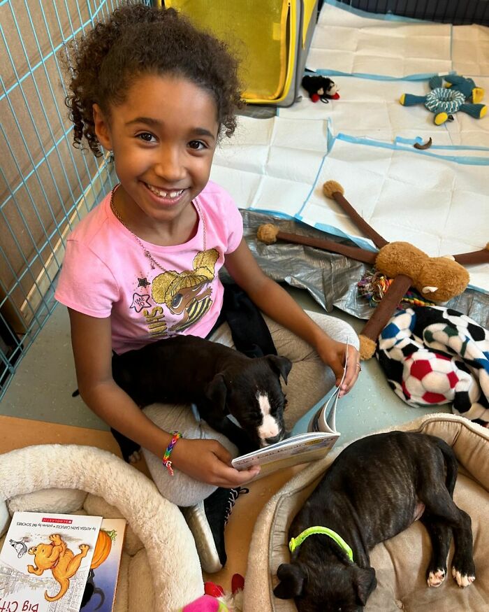 School Introduces Puppies To 1st Graders&rsquo; Reading Lesson, Soon Notices The Pupils Are Doing Better