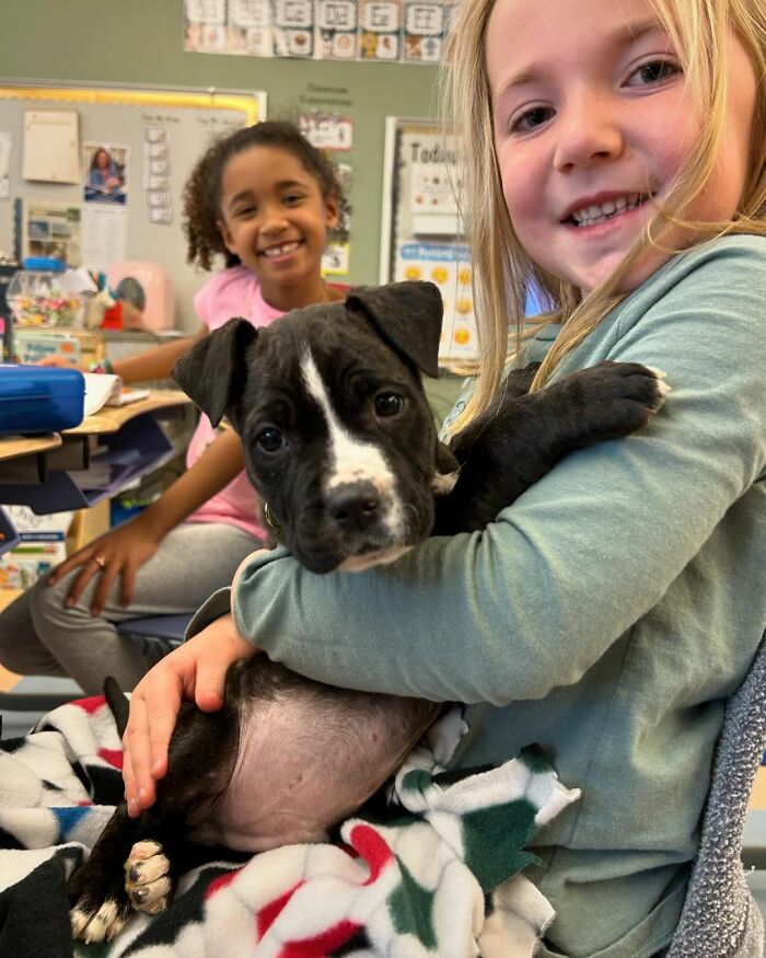 School Introduces Puppies To 1st Graders&rsquo; Reading Lesson, Soon Notices The Pupils Are Doing Better