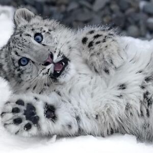 stellasantoshendricks avatar