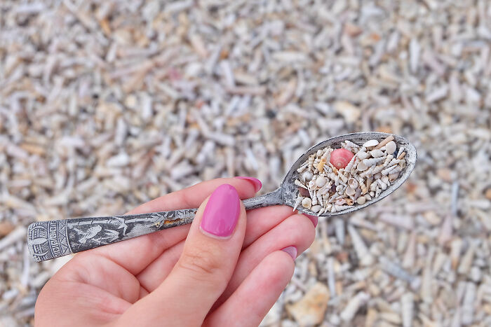 I Made Jewellery Using Shells From An Enchanting Beach
