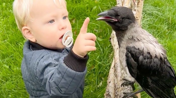 &ldquo;They Have A Special Bond&rdquo;: A 2-Year-Old Boy And His Crow