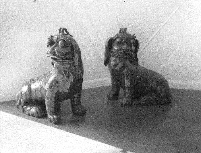 The Buckminster Fuller Dome Home: Inside Reborn - 9