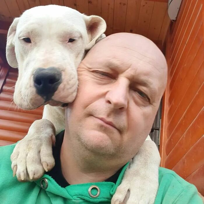 This Serbian Man's Shelter Houses Thousands Of Dogs With Love This Serbian Man's Shelter Houses Thousands Of Dogs With Love