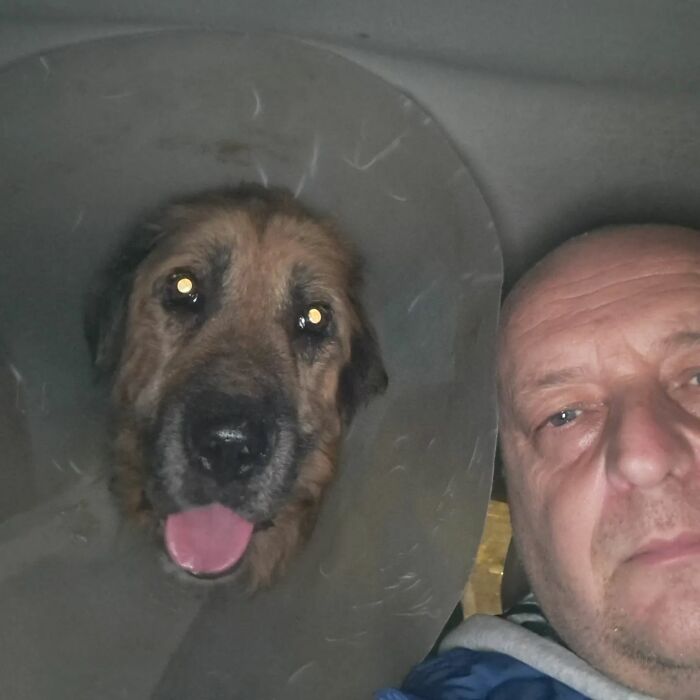 This Serbian Man's Shelter Houses Thousands Of Dogs With Love This Serbian Man's Shelter Houses Thousands Of Dogs With Love