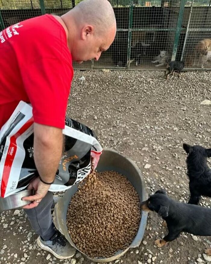This Serbian Man's Shelter Houses Thousands Of Dogs With Love This Serbian Man's Shelter Houses Thousands Of Dogs With Love