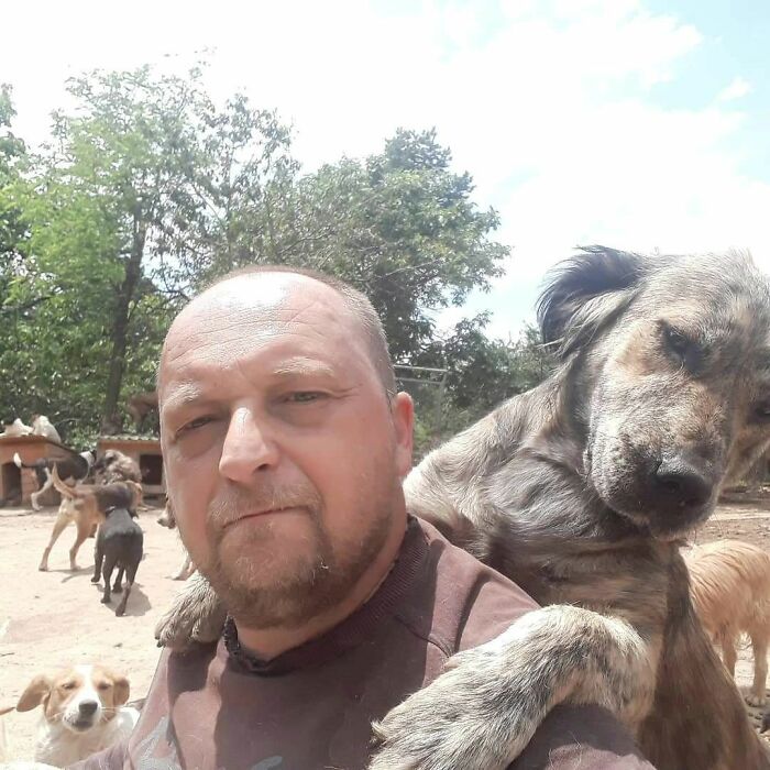 This Serbian Man's Shelter Houses Thousands Of Dogs With Love This Serbian Man's Shelter Houses Thousands Of Dogs With Love
