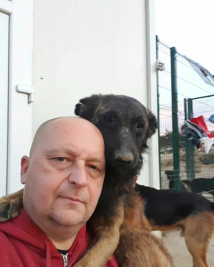 This Serbian Man's Shelter Houses Thousands Of Dogs With Love This Serbian Man's Shelter Houses Thousands Of Dogs With Love