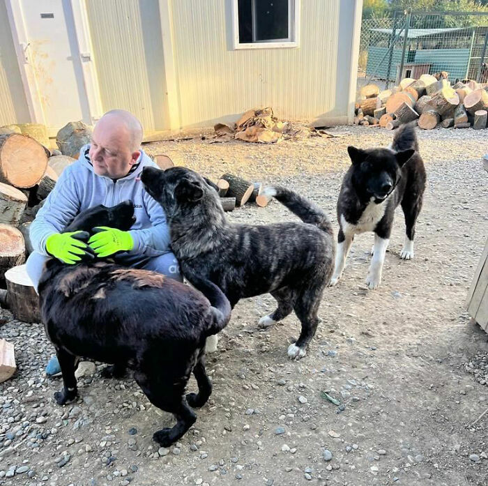 This Serbian Man's Shelter Houses Thousands Of Dogs With Love This Serbian Man's Shelter Houses Thousands Of Dogs With Love