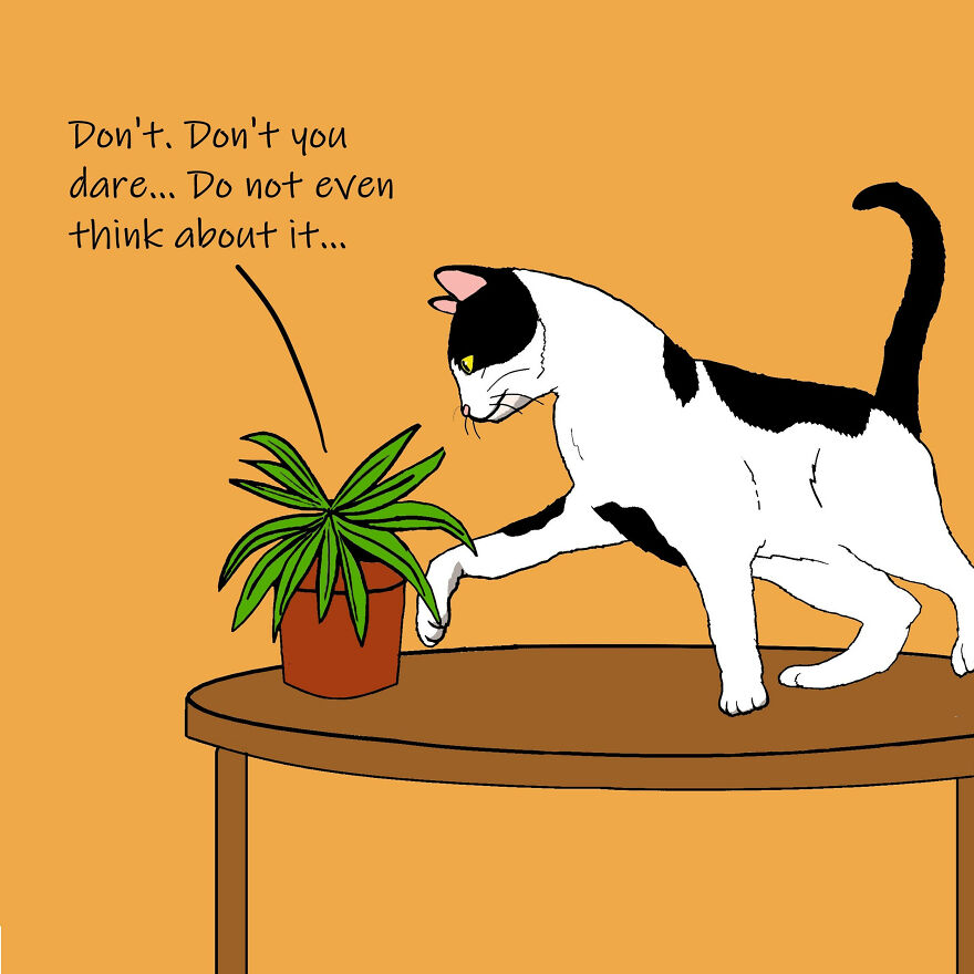 Meet Sarah Akinterinwa's Comics