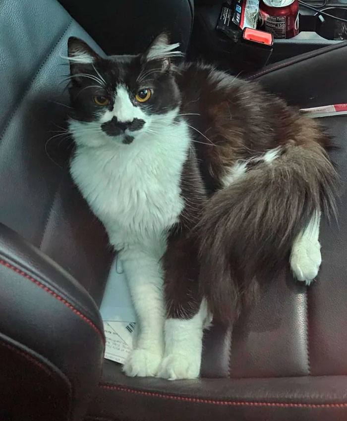 Just Adopted Him. I Think He's Happy Now