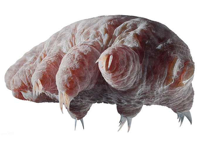 People Are Sharing Their Favorite Animal Facts That Never Cease To Amaze Them - 10