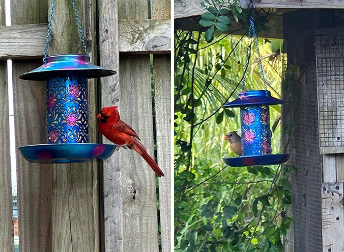  A Solar Bird Feeder With Nighttime Glow That'll Light Up Your Yard While Keeping Your Feathered Friends Full