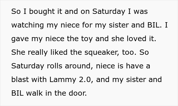 Mom Loses It At Sibling Because Of &lsquo;Non-Traditional&rsquo; Toy They Got For Niece