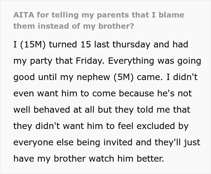 Parents Ignore Teen’s Request To Not Invite 5 Y.O. Nephew To B-Day Party, It Ends In Disaster - 2