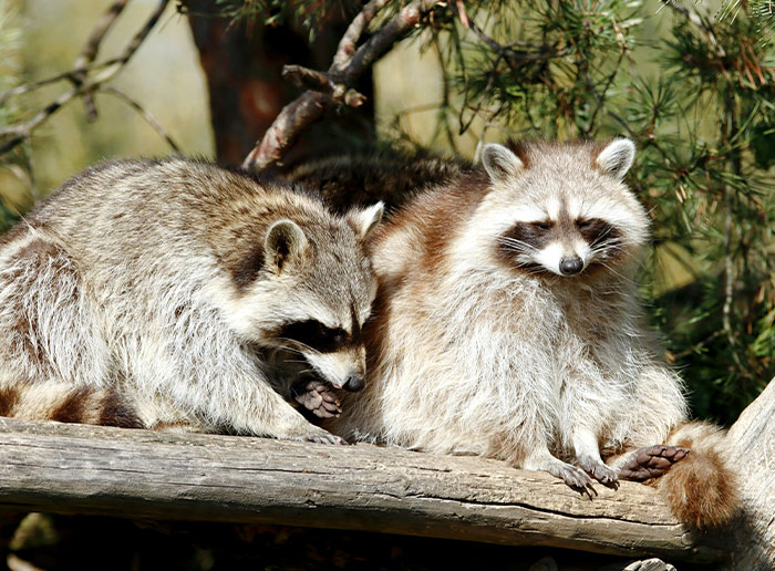 People Suggest New Names For Badly Named Things And These 50 Make So Much More Sense