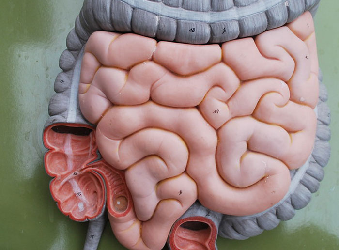 People Suggest New Names For Badly Named Things And These 50 Make So Much More Sense