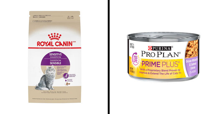 Best Cat Food For Sensitive Stomach, Approved By A Vet