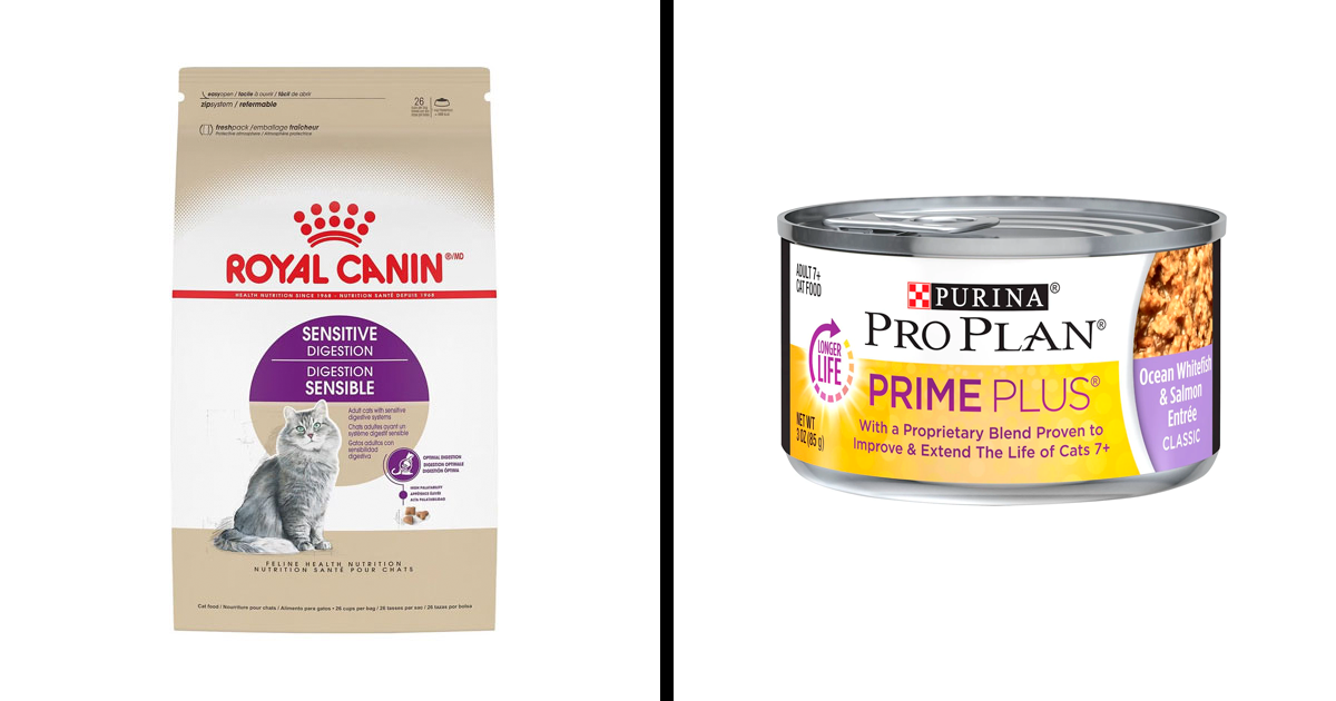 Best Cat Food For Sensitive Stomach, Approved By A Vet | Bored Panda