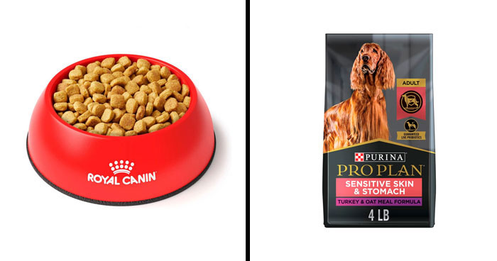 Best Dog Food For Allergies, According To Vet