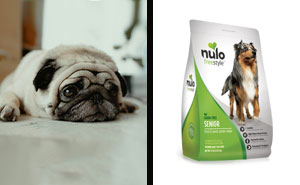 Best Dog Food For Sensitive Stomach, Recipes Approved By A Vet