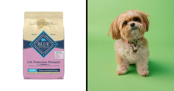 Best Dog Food For Small Dogs In 2024 