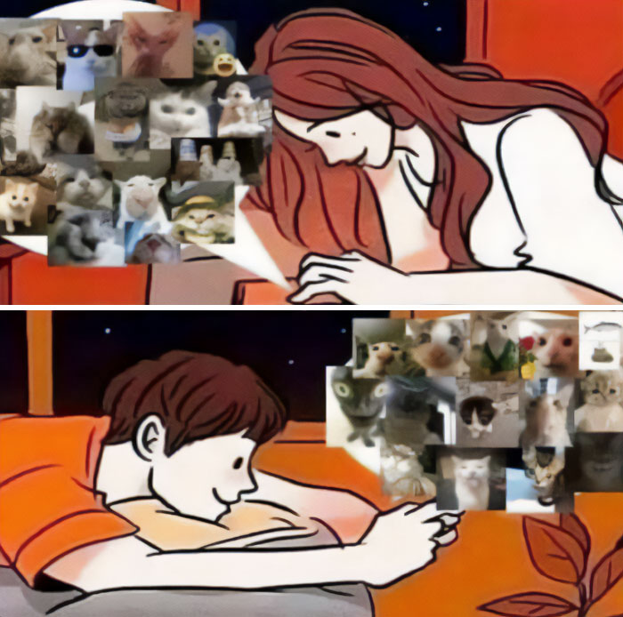 Best-Funny-Cat-Memes-Jokes