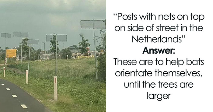 ‘What Is This Thing?’: 50 Times The Internet Solved The Mystery Of Unidentified Objects (All-Time Best)