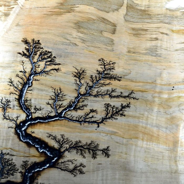 What Happens When Wood Is Burnt With High Voltage