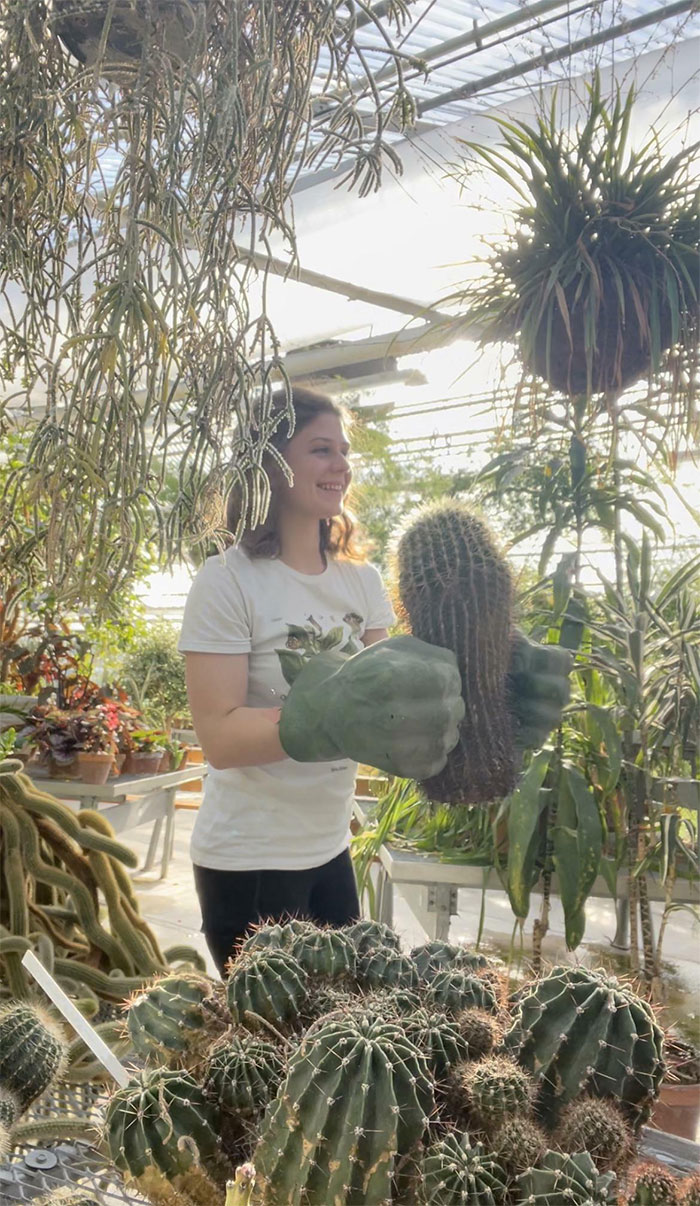 We Use Hulk Hands To Move Cacti At My Work