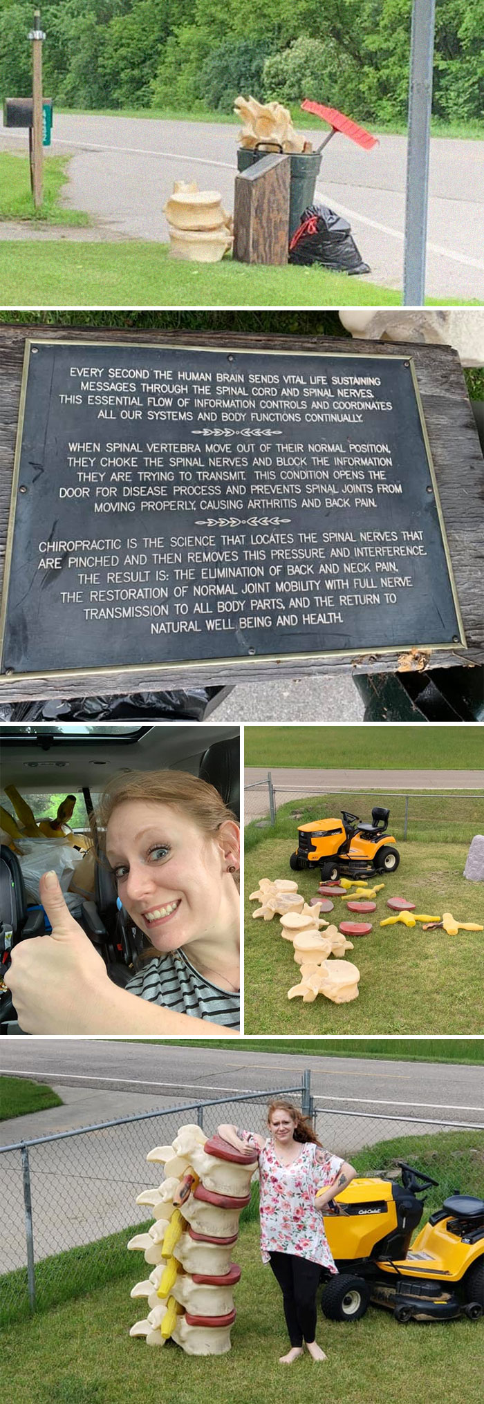 Thought I Saw Massive Vertebrae As I Was Driving Home Today