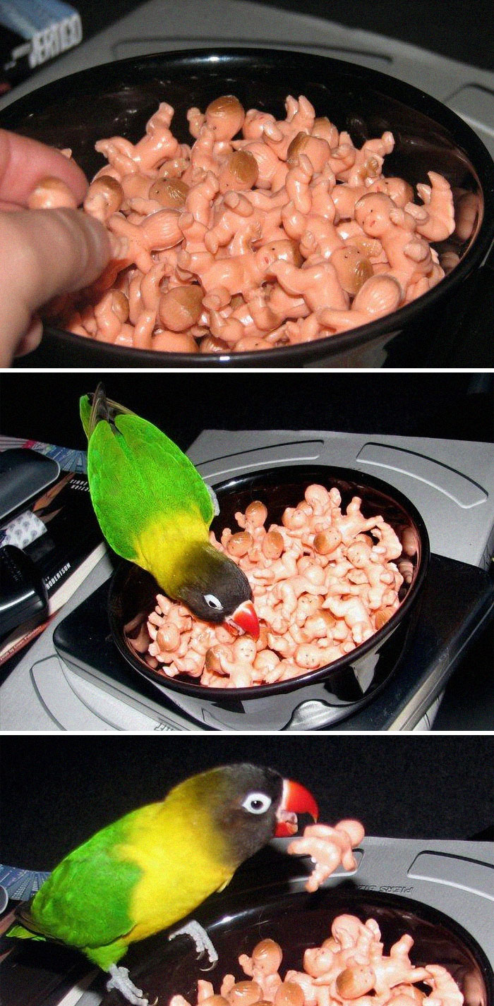 I Found An Entire Bag Of Babies At A Local Thrift Store