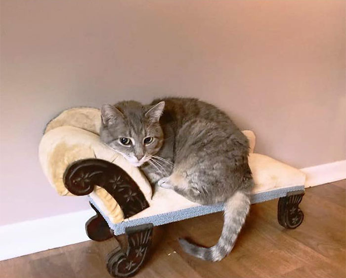 Griswald Definitely Approves Of This Garage Sale Find