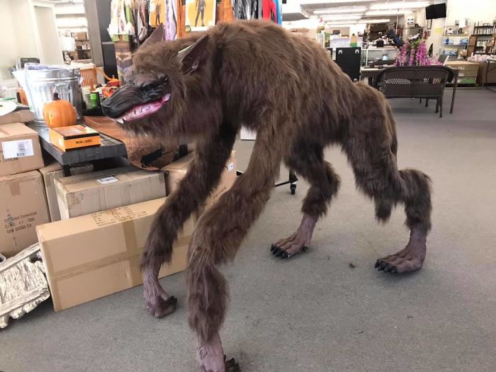 If Only I Had A Place To Store Him After Halloween! I Would So Take Him Home To Put Coming Out Of My Woods To Scare The Crap Out Of People Driving By